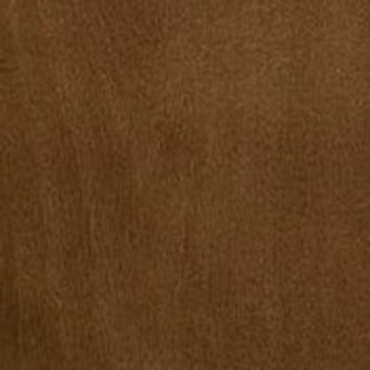 Wolf Home Products Touch-Up Paint Kit — WLFTUKITCH