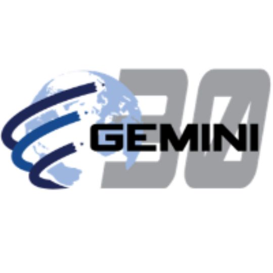 Gemini Industries Amc Spray Paint — GMNSPGG