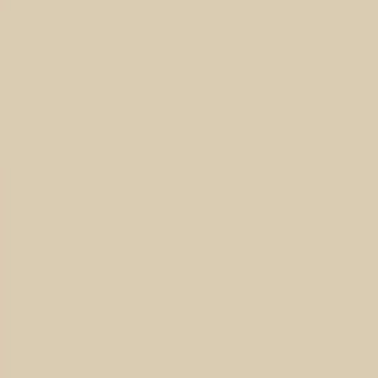 Senox Corporation Spray-On Touch-Up Paint — SNX582160005