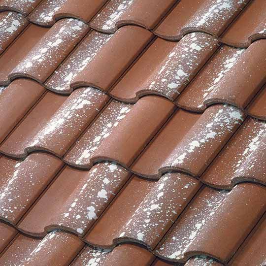 Newpoint Tejas Espana Field Tile — MNRES6050FITX