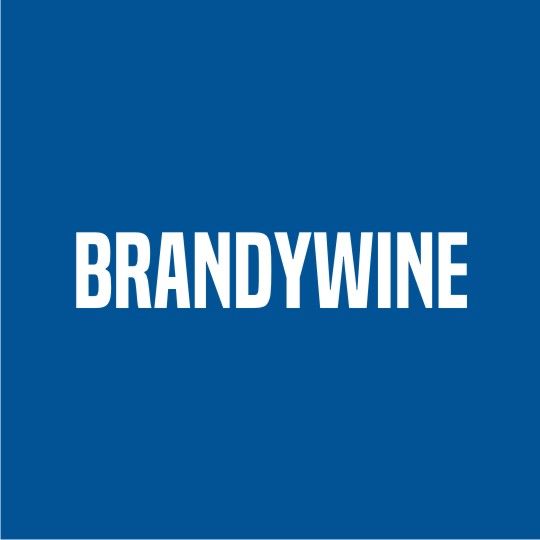 Brandywine Rosin Paper - 5 Sq. Roll — Roofing Accessories — REDBWN