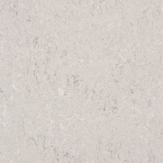 Caesarstone 2 cm x 56-1/2" x 120" Polished Quartz Countertop Slab — CSR6131A2CMPLBD