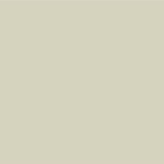 Coastal Metal Service 24 Gauge Preformed Valley — Metal Roofing — CPVSNS
