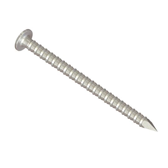 Clendenin Bros 1-3/4" (5d) Stainless Steel Painted Smooth Shank Trim Nails - 1 Lb. — SST134557LB1
