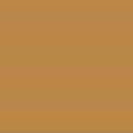 Coastal Metal Service 24 Gauge 16" NCR-150 Panel — Metal Roofing — CNCR15024CC