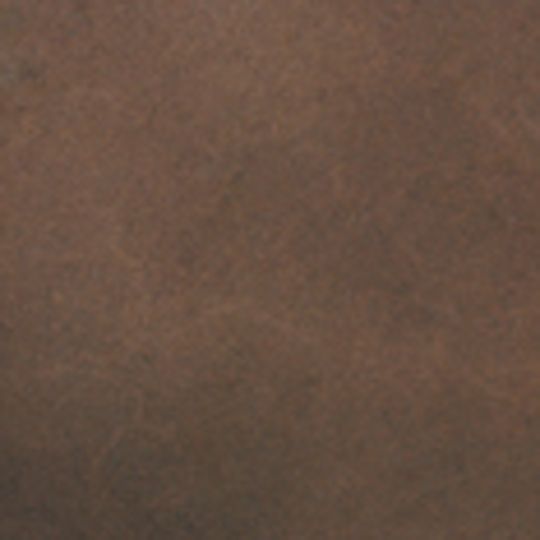 Westcoat SC-36 Fast Stain - 1 Pint Can — Commercial Accessories — WCSSC36566640