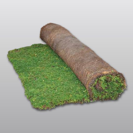 Carlisle SynTec Vegetated Sedum Mat