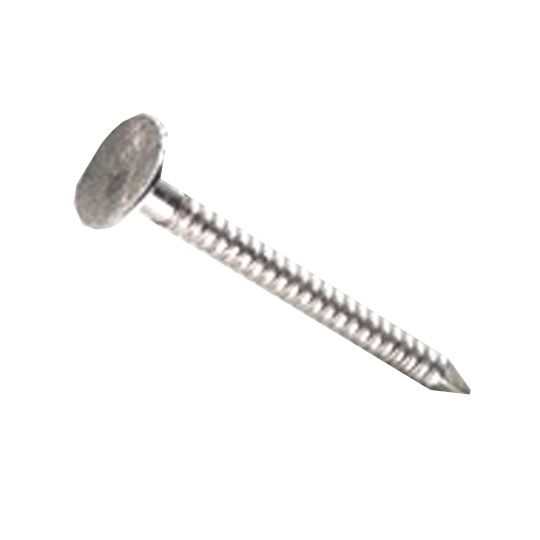 Clendenin Bros 1" (2d) Stainless Steel Painted Ring Shank Trim Nails - 1 Lb. Box — SST1RS500LB1