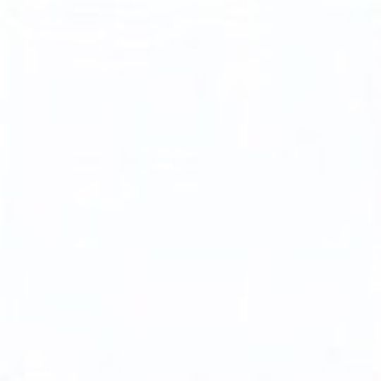 SilverLine Windows 60" x 41" 2-Panel Slider