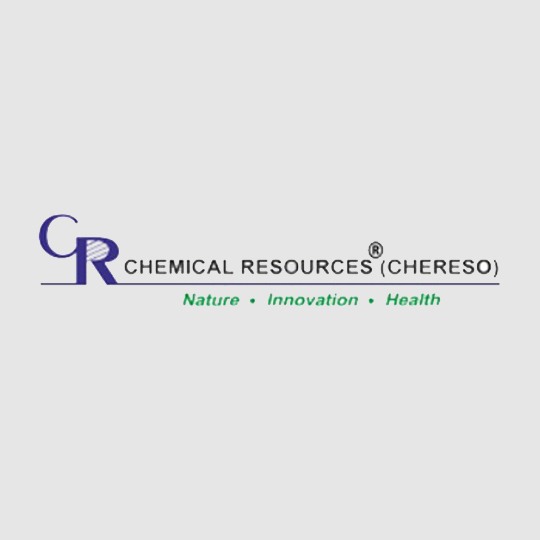 Chemical Resources 4" x 300' Polyester