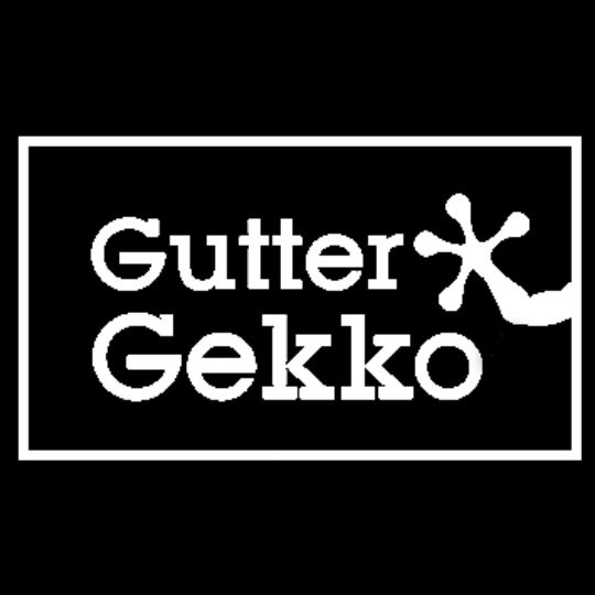 Quality Edge 1/2" GutterGekko Zip Screws - Bag of 100