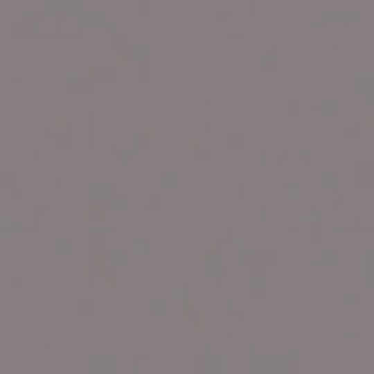 Watson Bowman Acme WE-500 Wabo Compression Seal Vertical - Wall to Wall