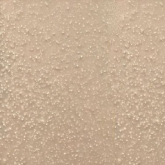 Oak Ridge Foam & Coating Systems Allcote Polyaspartic Polyurethane Coating - 2 Gallon Kit — Adhesives, Caulks & Sealants — ORGALCTPLYASPDT2
