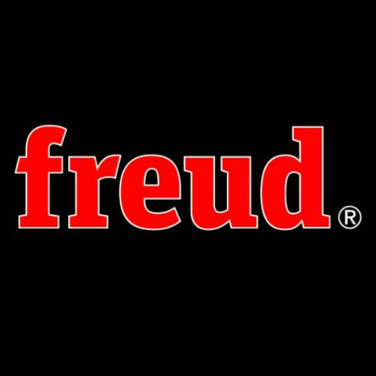 Freud 7-1/4" Saw Blade - 24 Teeth