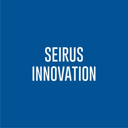 Seirus Innovation Large Mens Mountain Challenger Gloves