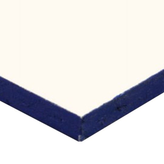 Carlisle SynTec EcoStorm Vsh Coverboard